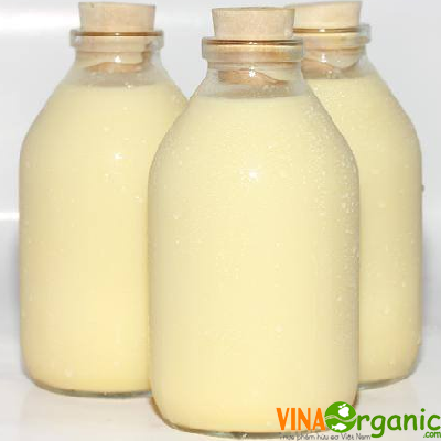 Sữa Bắp VinaOrganic