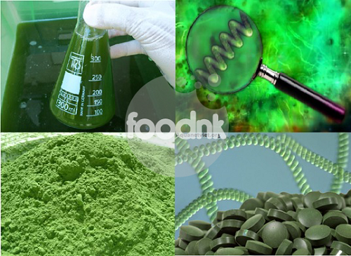 Thực-phẩm-chức-năng-tảo-spirulina