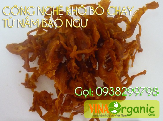 VinaOrganic chuyển giao công nghệ sản xuất bò khô từ nấm bào ngư