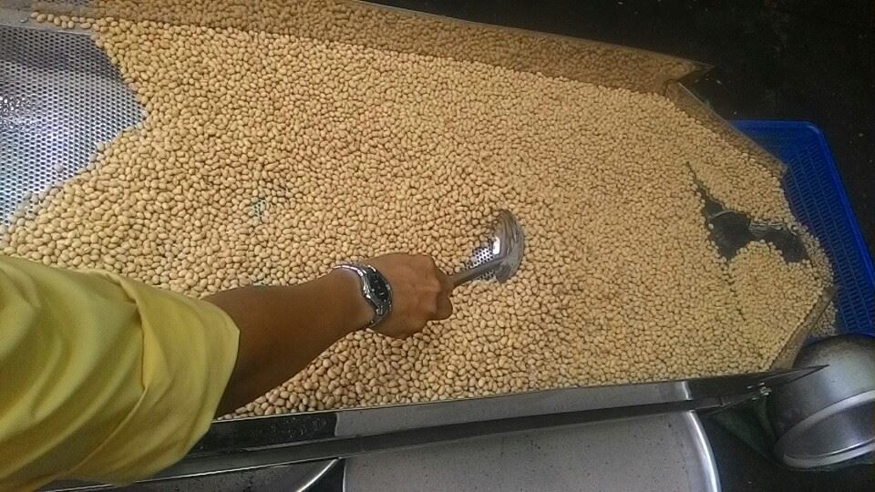 May rang dau nanh say gion dried soybean machines
