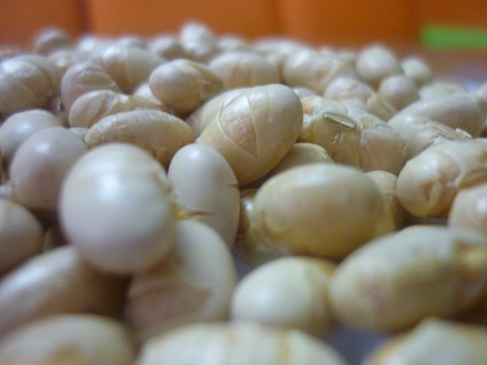 May rang dau nanh say gion dried soybean machines3