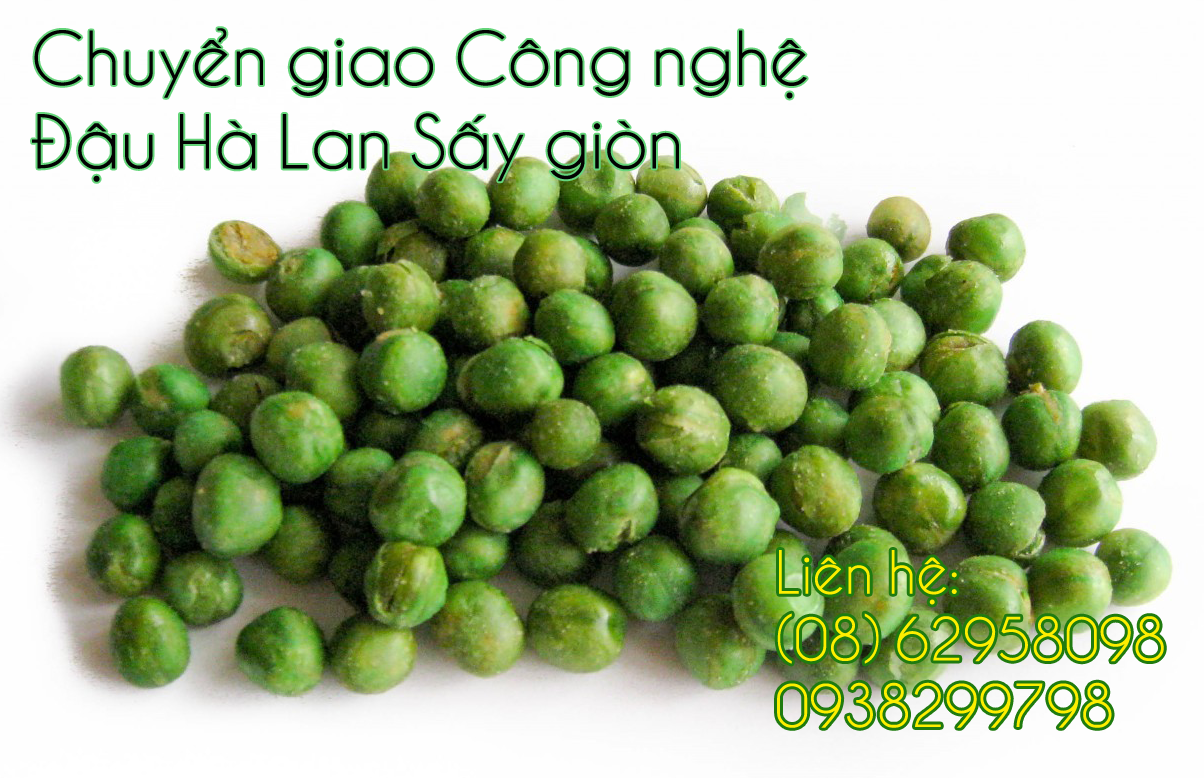 Chuyen giao cong nghe dau ha lan say gion