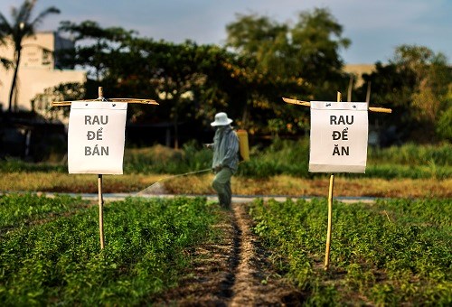 "Nhức nhối thực phẩm bẩn" hiện nay qua bộ ảnh đầy sáng tạo và chân thực