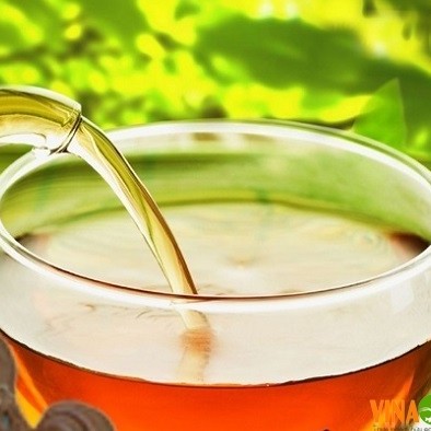 Chuyển giao công nghệ sản xuất Trà thảo mộc linh chi