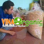 Sản phẩm đậu nành sấy giòn VinaOrganic