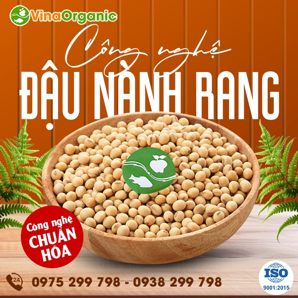 Chuyển giao công nghệ đậu nành sấy rang giòn xốp, đều màu đẹp mắt