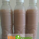 Cong nghe san xuat sua gao lut