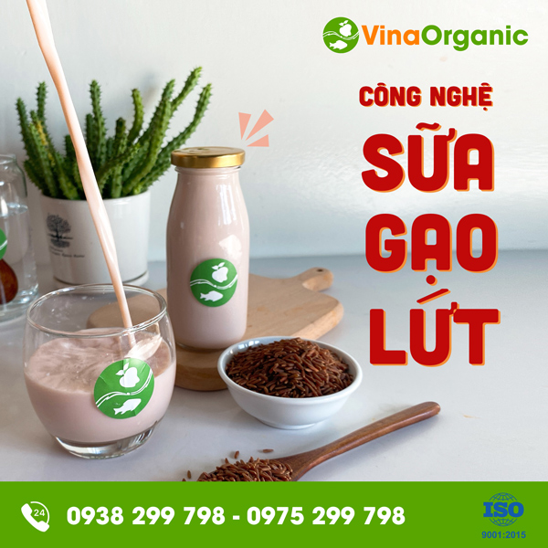 Chuyển giao công nghệ sản xuất sữa gạo lứt VinaOrganic