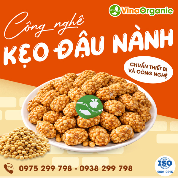Chuyển giao công nghệ Kẹo đậu nành giòn tan, béo bùi từ đậu nành