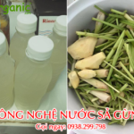 Chuyen giao Cong nghe moi nuoc sa gung vinaorganic