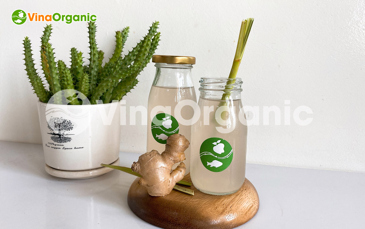 VinaOrganic chuyển giao công nghệ nước sả gừng, công thức chuẩn hóa, dễ thực hiện. Liên hệ ngay Hotline/Zalo: 0938299798 – 0975299798.