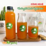 chuyen-giao-cong-nghe-nuoc-giai-khat-nghe-tuoi-vinaorganic (7)