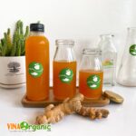 chuyen-giao-cong-nghe-nuoc-giai-khat-nghe-tuoi-vinaorganic (8)