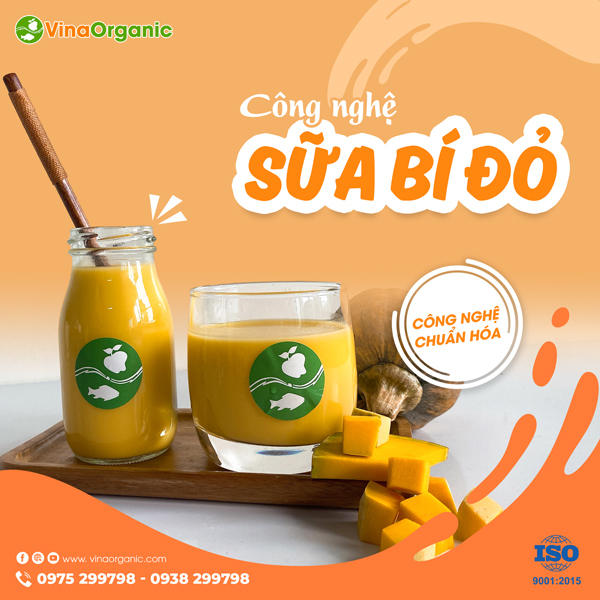 Chuyển giao công nghệ sản xuất sữa bí đỏ chất lượng cao