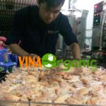 Công nghệ sản xuất sữa chua đóng túi tam giác VinaOrganic