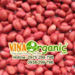 dau-phong-hung-lieu-vinaorganic-2