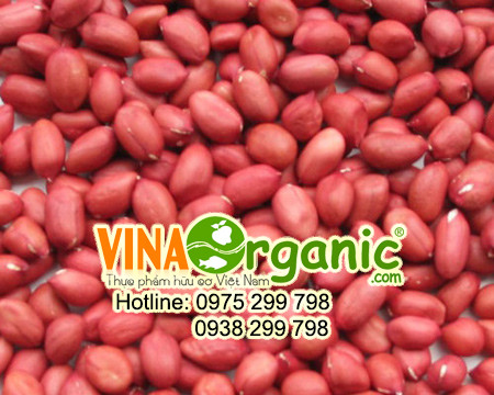 Chuyển giao công nghệ đậu phộng (Lạc) rang húng lìu chất lượng cao VinaOrganic