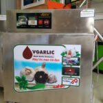 may-toi-den-vgarlic-1