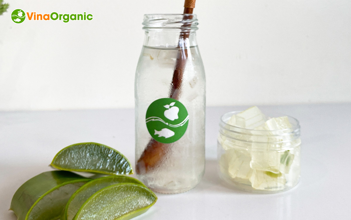 VinaOrganic chuyển giao công nghệ và máy sản xuất nước mủ trôm nha đam thanh mát, chất lượng cao. Liên hệ ngay. Hotline Zalo 0938299798 – 0975299798.