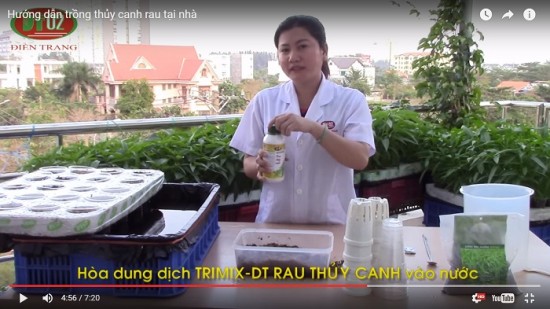 huong-dan-trong-rau-thuy-canh-tai-nha-6