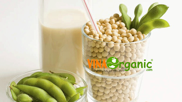 Sữa hạt đậu nành là một loại sữa đậu nhiều dinh dưỡng, nhiều người uống và tốt cho sức khoẻ
