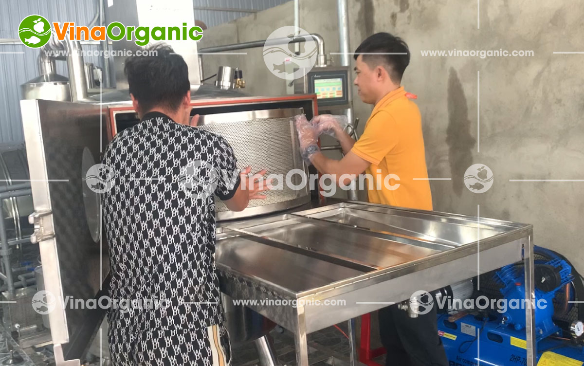 VinaOrganic chuyển giao công nghệ Ngô nếp tươi sấy (chiên chân không) mới. Liên hệ hotline 0938299798 - 0975299798 - 0948299798 để được tư vấn!!