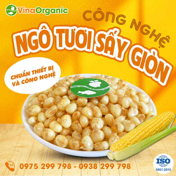 Chuyển giao công nghê ngô nếp tươi sấy giòn thơm ngon, giòn xốp