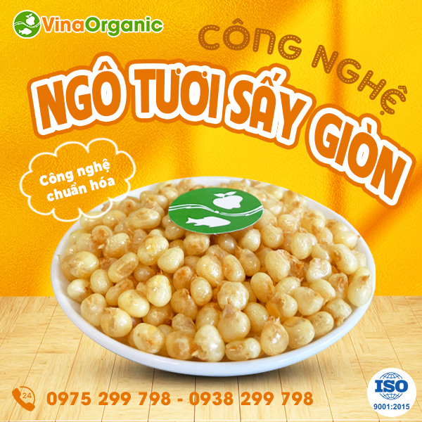 Chuyển giao công nghê ngô nếp tươi sấy giòn thơm ngon, giòn xốp