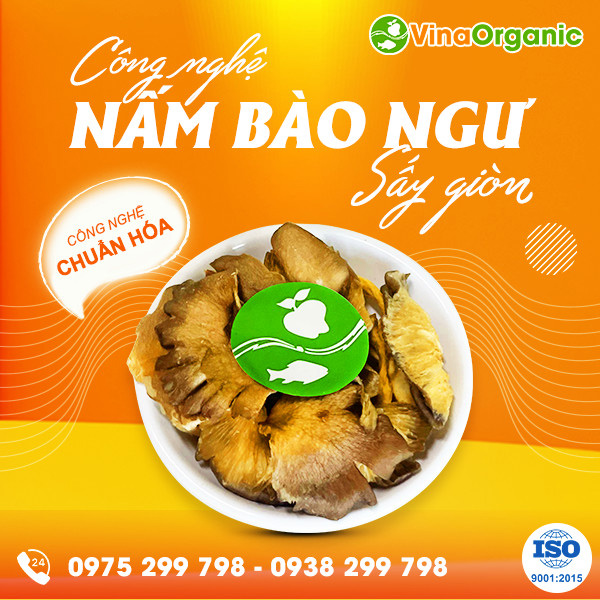 Snack nấm bào ngư VinaOrganic - Giải pháp tăng giá trị nguyên liệu nấm