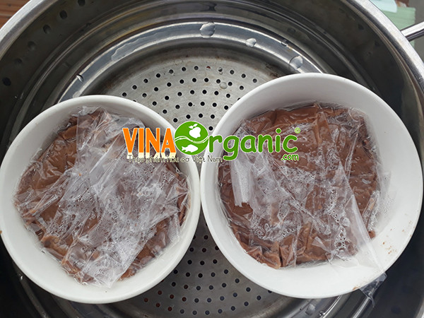 Công nghệ sản xuất Patê chay từ nấm bào ngư VinaOrganic