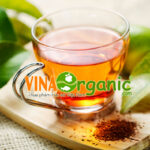 tra thao moc linh chi- vinaorganic