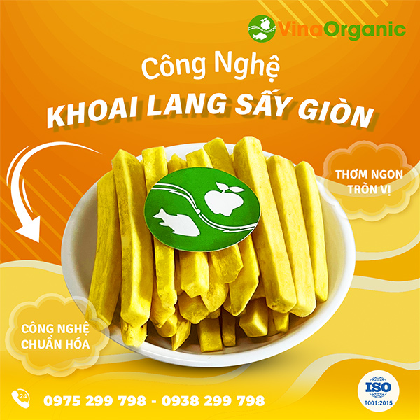 Chuyển giao công nghệ khoai lang que sấy giòn (chiên chân không) VinaOrganic