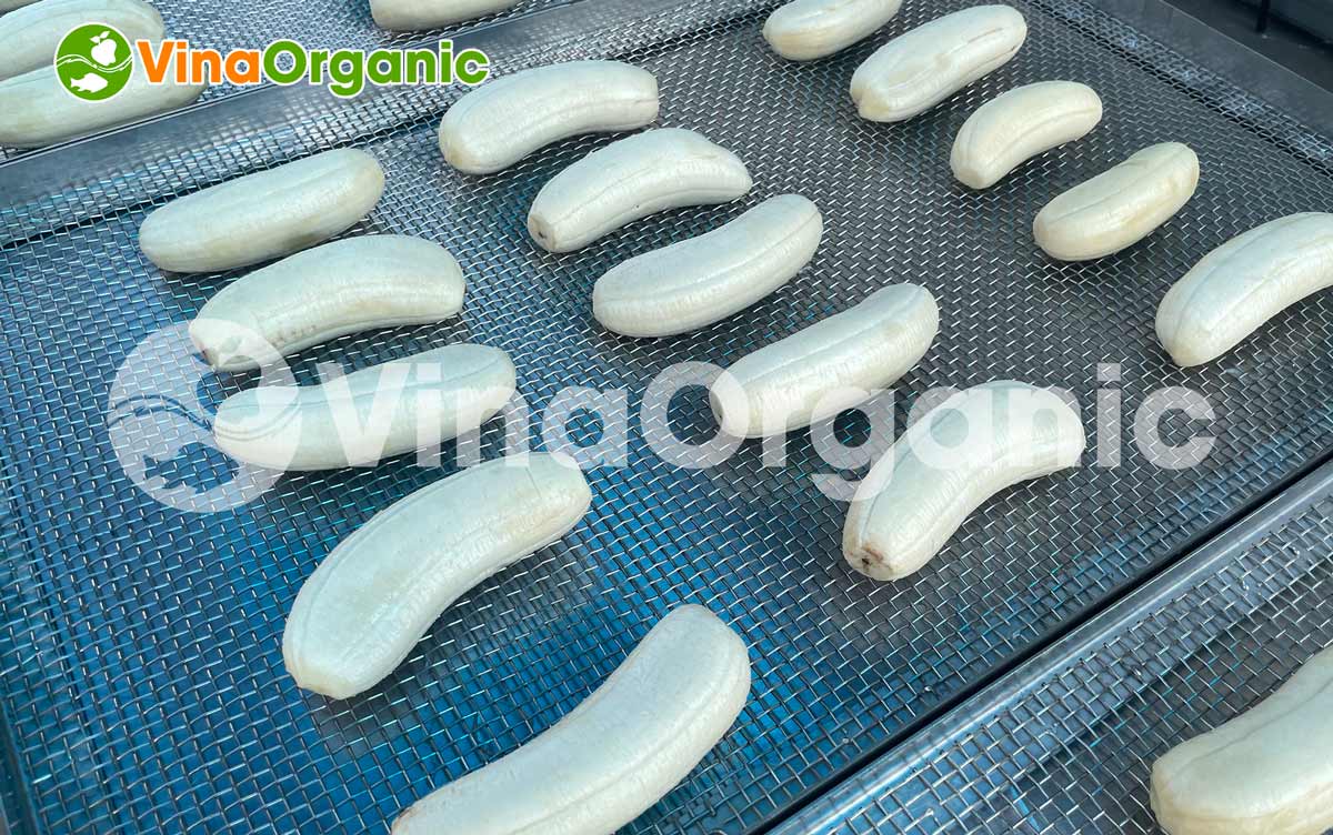 VinaOrganic chuyển giao công nghệ sản xuất chuối sấy dẻo ngọt thanh tự nhiên, mềm dẻo. Liên hệ ngay Hotline 0975299798 – 0938299798.