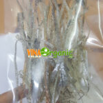 da-ca-hoi-say-gion-vinaorganic