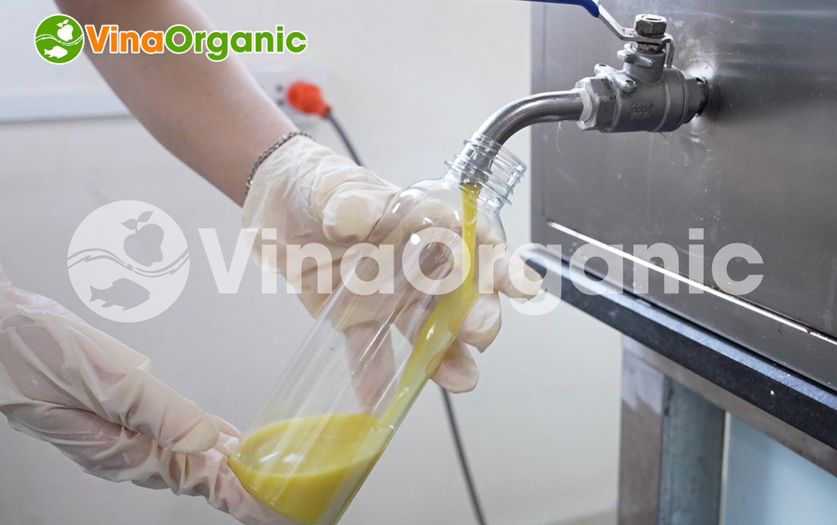 VinaOrganic chuyển giao công nghệ Sữa chuối thanh trùng bổ dưỡng, tốt cho sức khoẻ. Liên hệ ngay Hotline Zalo 0938299798 – 0975299798.