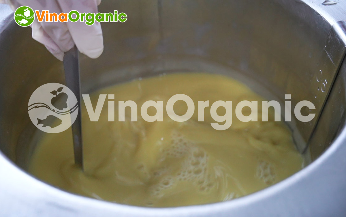 VinaOrganic chuyển giao công nghệ Sữa chuối thanh trùng bổ dưỡng, tốt cho sức khoẻ. Liên hệ ngay Hotline Zalo 0938299798 – 0975299798.