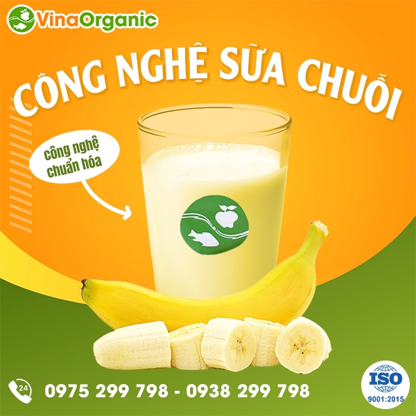 Chuyển giao công nghệ sữa chuối thanh trùng, tốt cho sức khoẻ