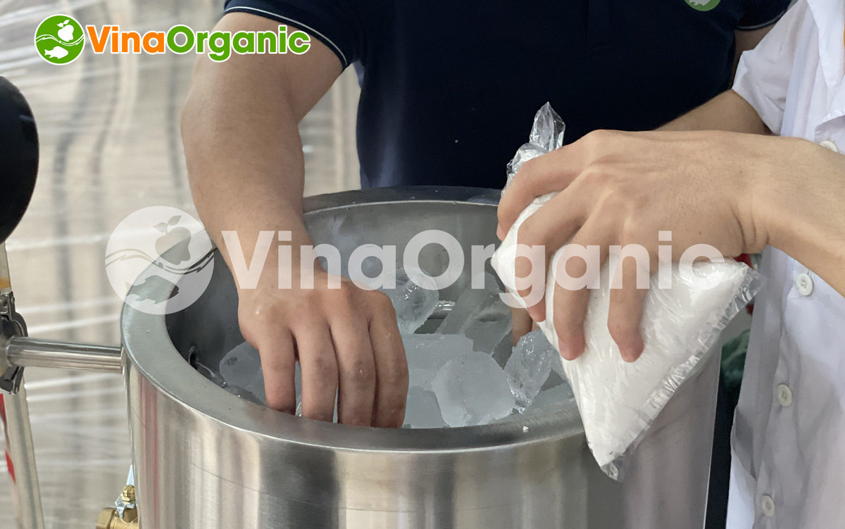 VinaOrganic chuyên cung cấp thiết bị làm lạnh nhanh với chất lượng cao. Máy được làm từ inox 304, làm lạnh cực nhanh. Hotline liên hệ 0975299798 –0938299798