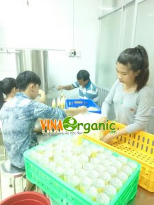 Công nghệ sản xuất Trà sữa đóng chai VinaOrganic