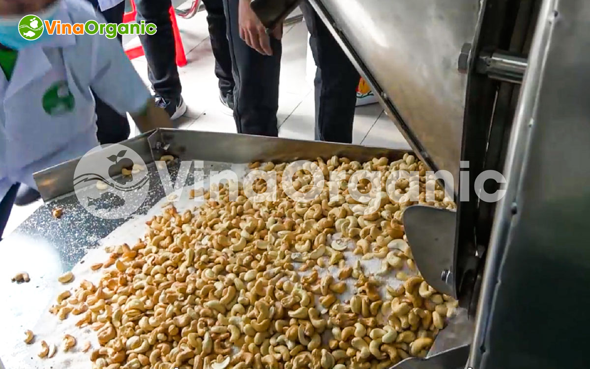 VinaOrganic chuyển giao công nghệ và máy thiết bị sản xuất hạt điều rang muối dinh dưỡng thơm ngon. Liên hệ ngay Hotline/zalo 0975299798 - 0938299798.