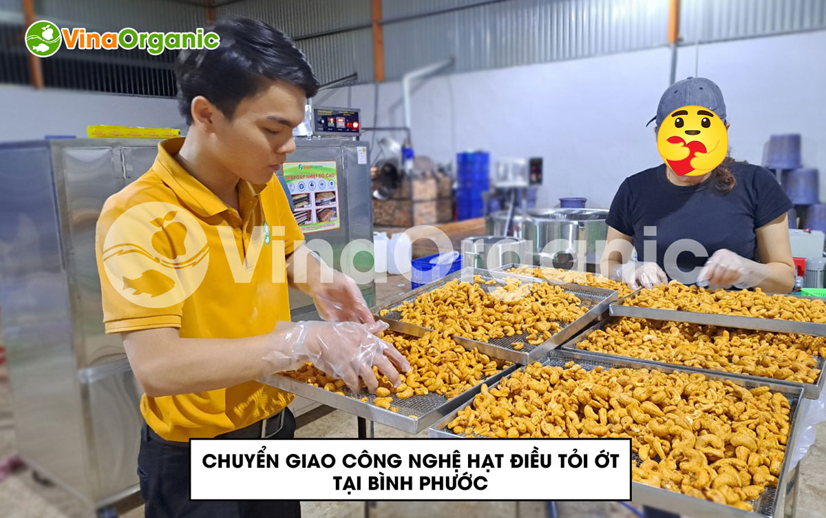 VinaOrganic cung cấp máy móc thiết bị và chuyển giao công nghệ hạt điều tỏi ớt. Liên hệ ngay Hotline/Zalo: 0938299798 – 0975299798.