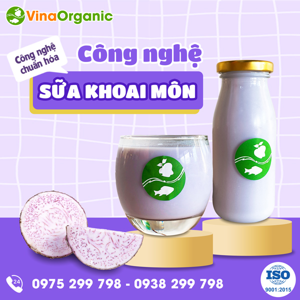 Công nghệ Sữa khoai môn khoai lang tím thanh trùng VinaOrganic