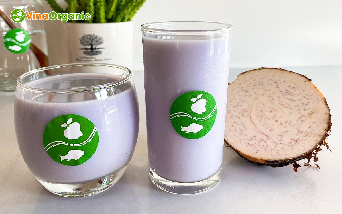 VinaOrganic chuyển giao Công nghệ Sữa khoai môn khoai lang tím thanh trùng béo bùi từ khoai môn và khoai lang tím. Liên hệ 0975299798 - 0938299798 ngay!