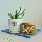 mut vo buoi vinaorganic (3)