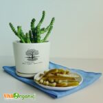 mut vo buoi vinaorganic (5)