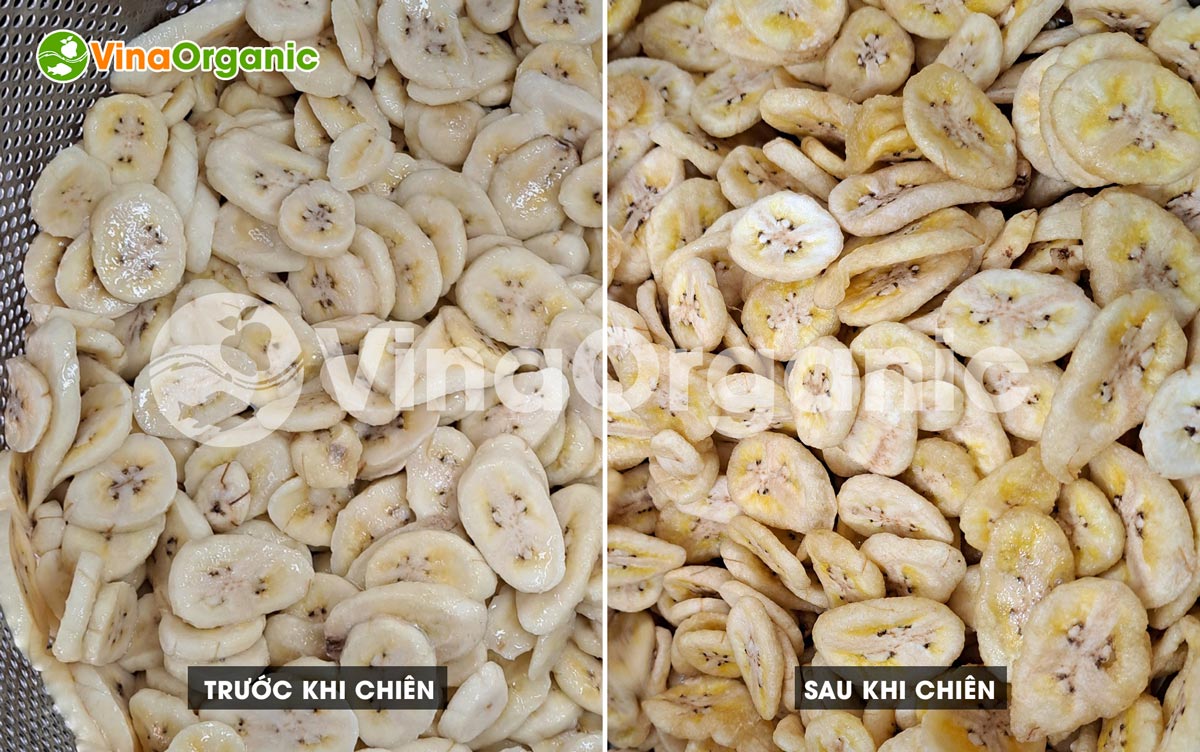 VinaOrganic chuyển giao công nghệ chuối sấy giòn (chiên chân không) chuẩn hóa, dễ thực hiện. Liên hệ ngay Hotline/Zalo: 0938299798 – 0975299798.