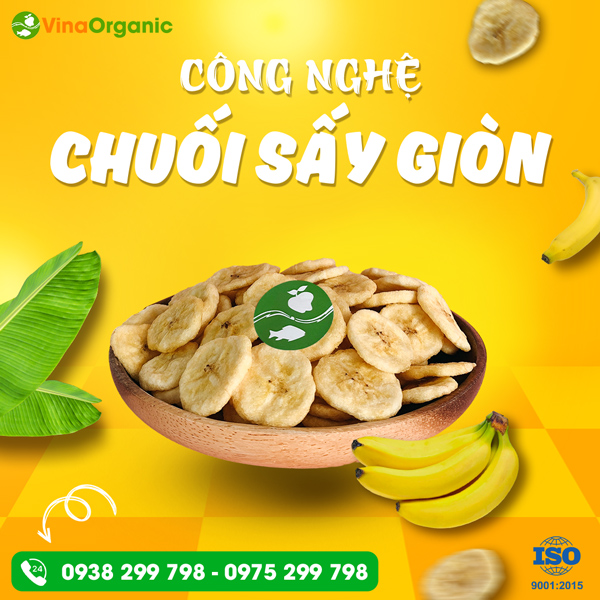 Chuyển giao công nghệ chuối sấy giòn (chiên chân không) VinaOrganic