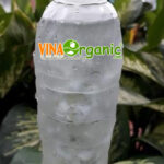 nuoc-mu-trom-nha-dam-vinaorganic