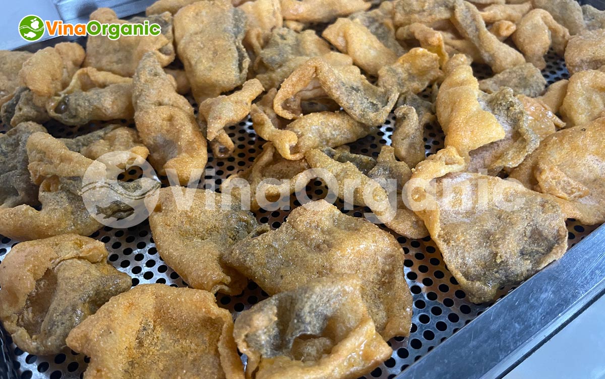 VinaOrganic chuyển giao công nghệ da cá trứng muối và máy thiết bị sản xuất. Liên hệ ngay hotline Zalo 0938299798 – 0975299798.