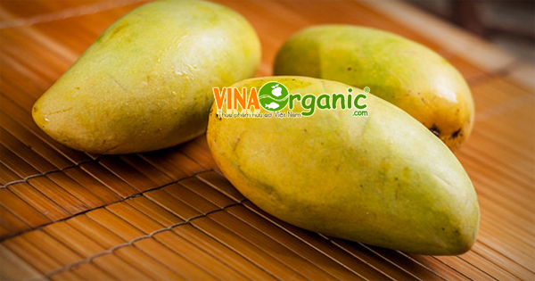 5 cách ủ xoài nhanh chín tự nhiên đúng cách và hiệu quả nhất